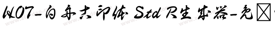 HOT-白舟古印体 Std R生成器字体转换